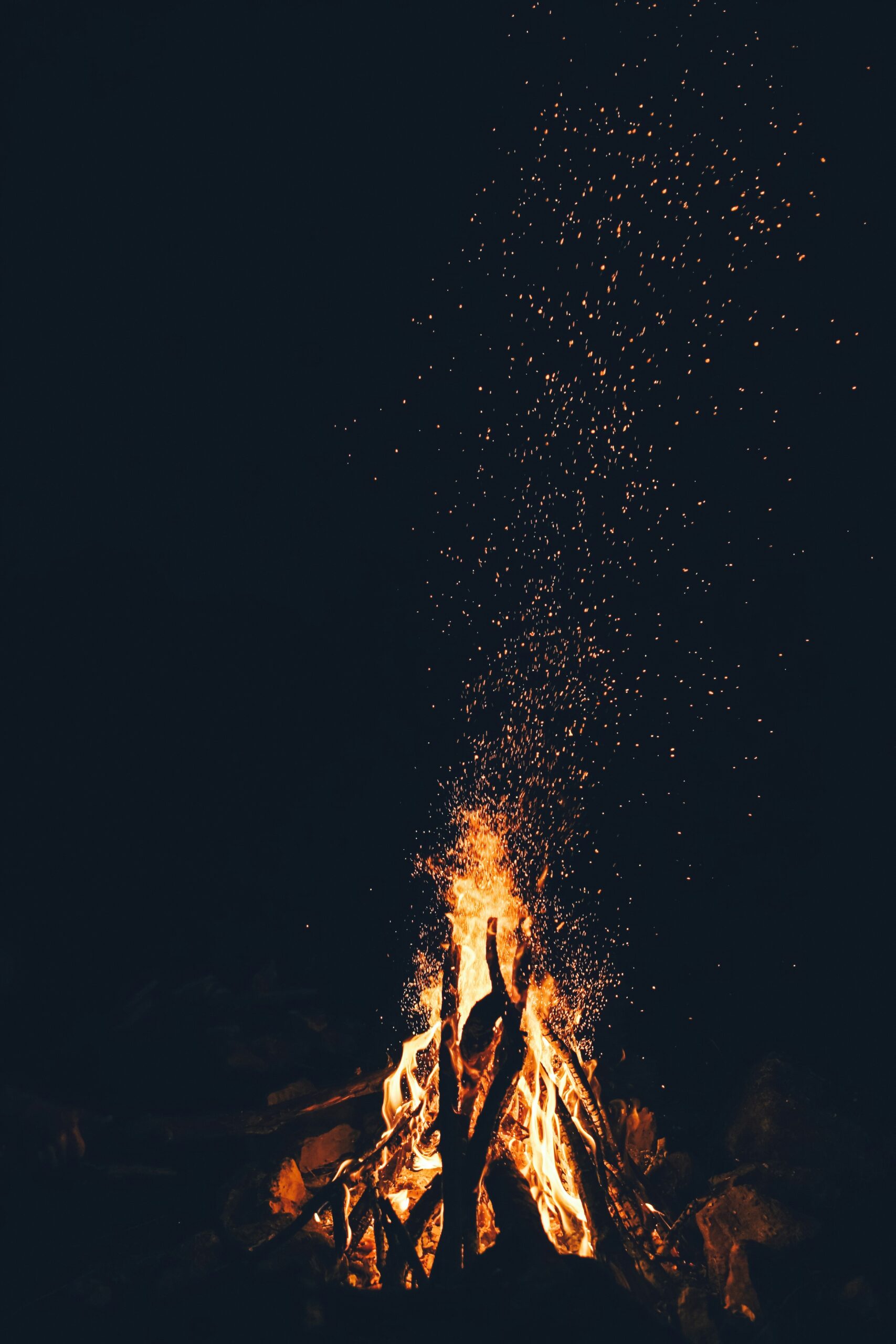 toa-heftiba-DUXACn8tgp4-unsplash